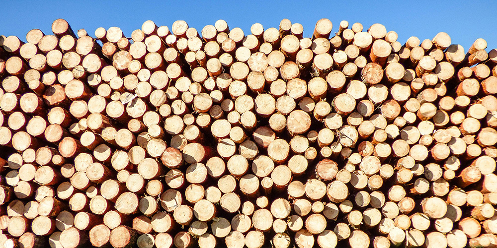Logs of timber stacked up on top of each other. At Howarth Timber, we supply a wide range of timber products. Logs of timber stacked up on top of each other. At Howarth Timber, we supply a wide range of timber products.